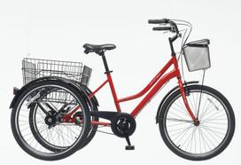 Triratis Bissan Bike PORTER 24 raudonas