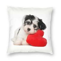 Funny Puppy Cavalier King Charles Spaniel Dog Square Pillowcover Home Decor Animal Cushion Cover Throw Pillow for Living Room 30x30cm smėlis