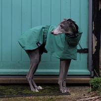 Neperšlampama, vėjui atspari šuns lietaus striukė, kvėpuojantis pilno kūno apsaugos sausas kostiumas, augintinio lietaus palto pončas Whippet, Greyhound Back 36cm žalia