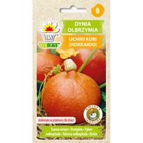 Dynia Olbrzymia Uchiki Kuri (Hokkaido) 5G