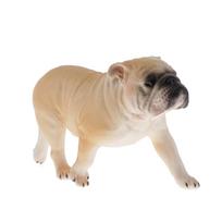 Modeliavimas Naminiai gyvūnai Gyvūnų modelių figūrėlė Mokomasis žaislas Namų dekoras Pelėda Bulldog 1