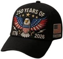 250-osios metinės JAV beisbolo kepuraitė su ereliu 250 metų Amerikos jubiliejinė kepuraitė Patriotiška jūrų pėstininkų veteranų kepuraitė