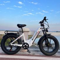 Nathaniel SYR08 City E-Bike,Dual Motor 2000W,20x4.0 Integrated Wheel,48V20AH,Speed 50+, Snow/Sand Outdoor cycling 2000W(dual motors)    48V  20Ah (actual 17.5Ah） balta