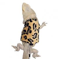 Barzdotojo dragono liemenė pavadėlis, driežo liemenė pavadėlis, stilingas pavadėlių rinkinys, dragono liemenė su bičių raštu, reguliuojama sagtimi, kvėpuojanti driežams