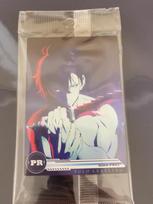 Solo Leveling Sung Jin-Woo Official Promo PR01 Special Card