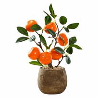 Granatmedis Citrinmedis Apelsinmedis Vaismedis Vazone Daugiaspalvis Darbalaukio Ornamentas Namų Dekoras pomegranate
