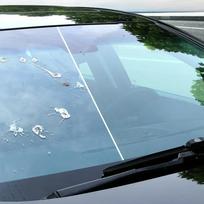 Automobilio alyvos plėvelės valymo pasta, Stiklo valymo įrankis alyvos plėvelės šalinimui, Stiklo danga, Priekinio stiklo valymo įrankis 1