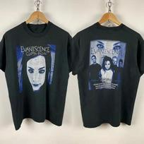 Vintažiniai Evanescence Fallen Tour Grupės Roko Grafinis Marškinėliai Unisex T-Shirt XL