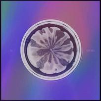 XG - 1st mini ALBUM : NEW DNA [X VER.]