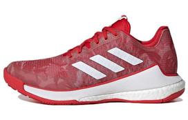 Adidas Crazyflight Batai 'Team Collegiate Red Camo' Moteriški HR0633 42.5