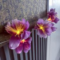LED sodo girliandos lemputės