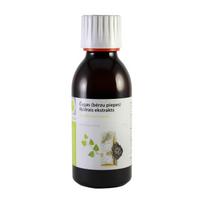 GREENICE Chaga (beržų arbata) skystas ekstraktas 150ml