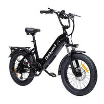 Bodywel F20 Elektrinis Dviratis 20 colių 250W Variklis ir 48V13.5AH Baterija juoda