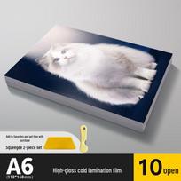 Self-Adhesive Transparent Photo Lamination Film for Leaf Specimens & Refrigerator Magnets Glossy Transparent Film + Scraper Knife