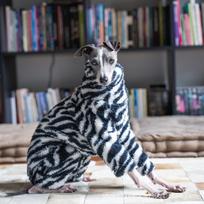 Dog Clothing Dogs Accessories Greyhound Whippet Shiba Inu Puppy Clothes Winter Warm Dog Sweater Soft Pet Products Supplies S dryžiai