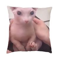 Juokingi Bingus pagalvių užvalkalai Svetainės sofos dekoravimas 3D spausdinimas Sfinkso katės memo sofos pagalvėlės užvalkalas dvipusis 30x30cm 12x12in