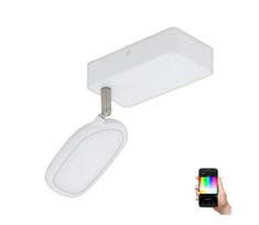 Eglo 97691 - LED RGB šviestuvas PALOMBARE-C 1xLED/5W/230V