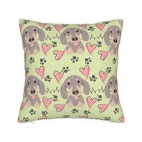 Pillow Case Dapple Dachshund Doxie Lover Floral Dachsie Flowers Soft  Pillow Cover For Office Car Home Decor Kawaii Pillowcases 30x30CM(12x12in)