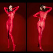 Women Jumpsuit Sexy Silky Shiny Seamless Stockings Ultra-Thin Seductive Transparent Full Body Socks Ultra Elastic Bodystockings Regular