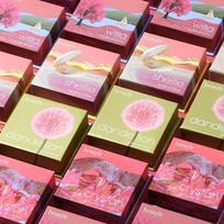 Choose 1 Of 7 Benefit Blushes 001 Dandelion