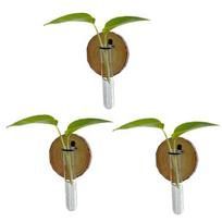 3 Pcs Wall-Mounted Plant Terrarium Propagation Station Clear Cylinder Hanging Test Tube Planter Indoor Decorative Flower Vases for Bathroom 3pcs