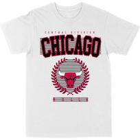 Men's T-Shirt NBA Chicago Bulls White Premium Gildan Blanks S balta