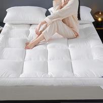 Fang'en Soft Student Dormitory Mattress Topper gray