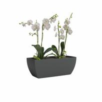 Iš perdirbto plastiko vazonas gėlėms 30 cm Siena – Artevasi