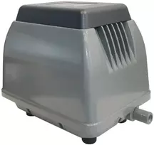 Orapūtė ET60