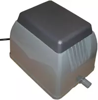Orapūtė ET80