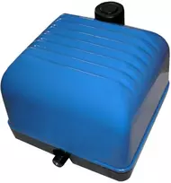 Orapūtė V20
