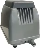 Orapūtė ET30