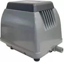 Orapūtė ET40