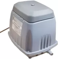 Orapūtė ENV150