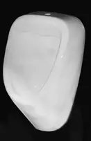 Pisuaras 3810