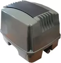 Orapūtė ET100
