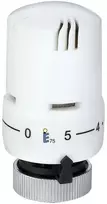 Galva termostatinė 303