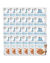 BRIT Care Fillets in Jelly kalakutiena ir krevetėmis 24 x 85 g