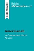 Americanah by Chimamanda Ngozi Adichie (Book Analysis): Detailed Summary, Analysis and Reading Guide