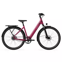 Electric bicycle TENWAYS CGO800S, Wild Berry