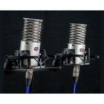 Aston Microphones Origin Stereo Pair Condenser | 0504-ACC44-001  | 5060458750822