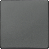 Klavišas, carbon metallic, Delta I-System 5TG6221 | 4001869233543