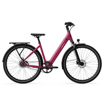 Electric bicycle TENWAYS CGO800S, Wild Berry
