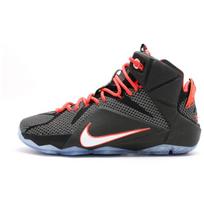 Nike LeBron 12 Court Vision 684593-016 45.5
