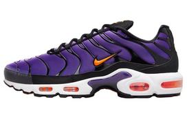Nike Air Max Plus OG Voltage Purple 2024 DX0755-500 38.5