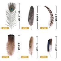 40/48Pcs Assorted Mixed Feathers Long Pheasant Plumage Multiple Size Peacock Feathers  Wedding 48Pcs