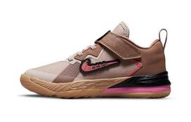 Nike LeBron 18 Low Wile E. Vs Roadrunner Space Jam PS DJ3761-401 28