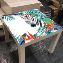 Nordic Zebra Desktop Lipdukai Lipdukai Neperšlampami PVC Baldai Lipdukai Stalo Stalo freskos Menas Namų apdaila 55X55CM 55x55cm