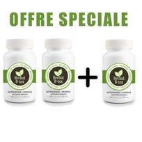 Maisto papildas Herbal D-tox Artemizininas ~ Pelynas (Pelynas) 100% Grynas, 300 kapsulių x 500 mg - 2 + 1 DOVANOTAS
