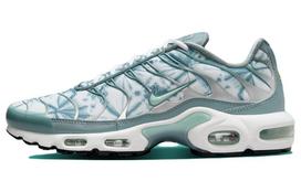 Nike Air Max Plus 'Origins Waterway' FV0394-300 38